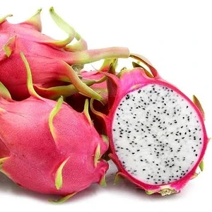Berke Fidancılık Pitaya Ejder Meyvesi (İçi Beyaz Köklü) Fidesi