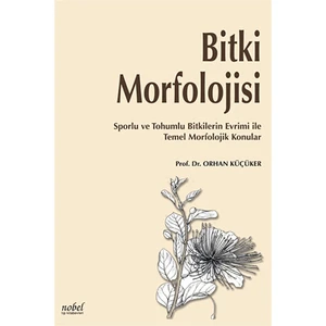 Bitki Morfolojisi: Sporlu ve Tohumlu Bitkilerin Evrimi ile Temel Morfolojik Konular