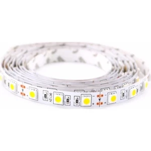 Gün Işığı Şerit Led 5 Metre