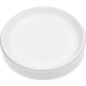 100 Adet 21Cm Plastik Tabak