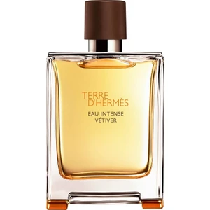 Terre D'Hermes Eau Intense Vetiver Edp 100 ml Erkek Parfümü