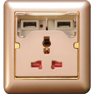 B 2250 5V 1 A Ve 2.1 A2 Usb Girişli Duvar Gold Renk