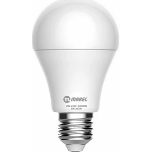 6Watt Led Ampul Beyaz Işık