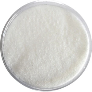 Monosodyum Glutamat (Msg) (E621) 250 gr