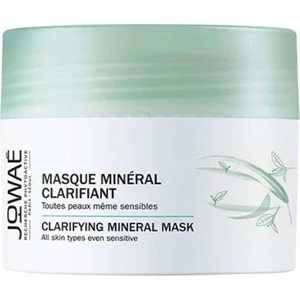 Clarifying Mineral Mask 50 ml