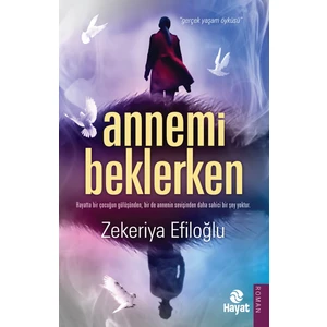 Annemi Beklerken - Zekeriya Efiloğlu