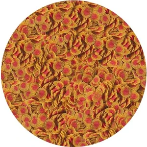 Pro Colour 100gr Balık Yemi Kovadan Bölme