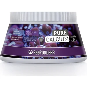 Pure Calcium B 250ml