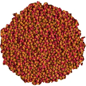 Cichlid Colour Mini - Kovadan Bölme 250gr