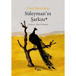 Süleyman'ın Şarkısı - Toni Morrison