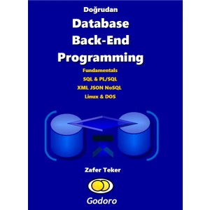 Godoro Yayıncılık Doğrudan Database Back-End Programming