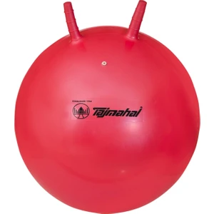 Zıp Zıp Top 55 cm