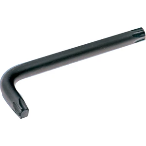 Torx Allen Anahtar T 6