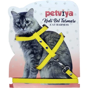 Kedi Göğüs (Bel) Tasması