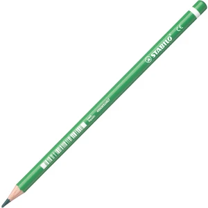Yeşil Kalem 12 Li 978-530 (1 Paket 12 Adet)