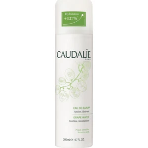 Grape Water Organik Üzüm Suyu 200 ml