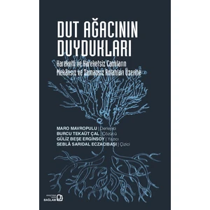 Dut Ağacının Duydukları