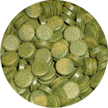 Sera Spirulina Tabs - Kovadan Bölme 100