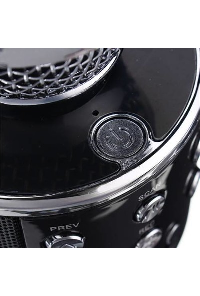 Ws-858 Profesyonel Ses Kaydı Yapabilen Eğlenceli Karaoke Mikrofon Ws858 Siyah