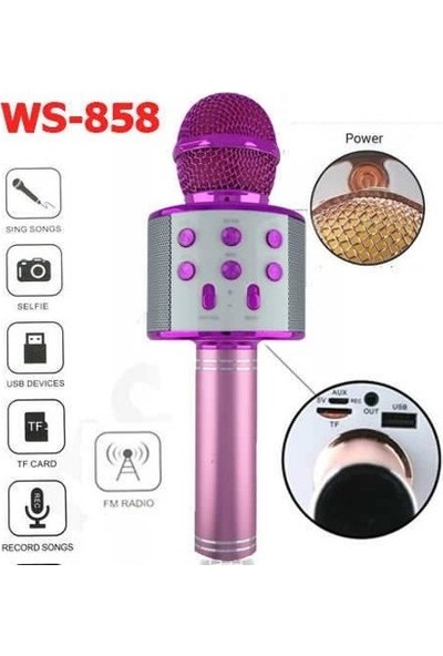 Ws-858 Profesyonel Ses Kaydı Yapabilen Eğlenceli Karaoke Mikrofon Ws858 Pembe
