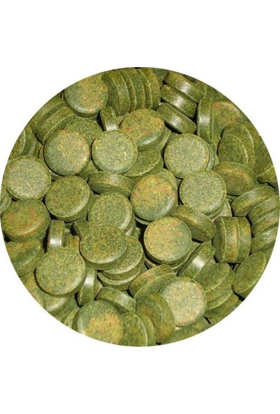 Sera Spirulina Tabs - Kovadan Bölme 50 adet