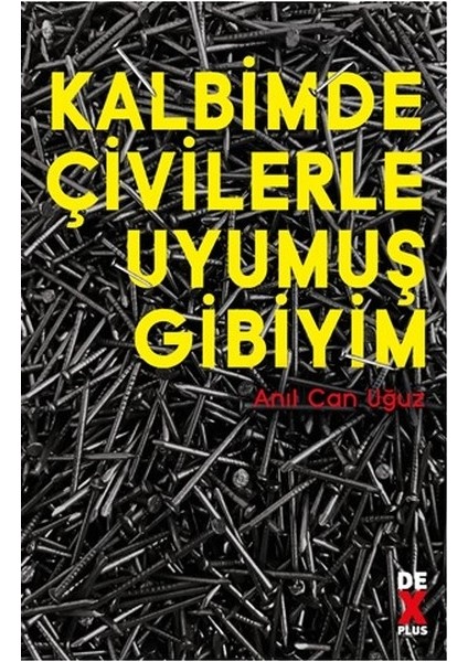 Kalbimde Çivilerle Uyumuş Gibiyim - Anıl Can Uğuz