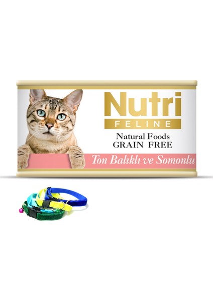 Ton Balıklı ve Somonlu Tahılsız Yetişkin Kedi Maması 32x85 gr ve Kedi Tasması