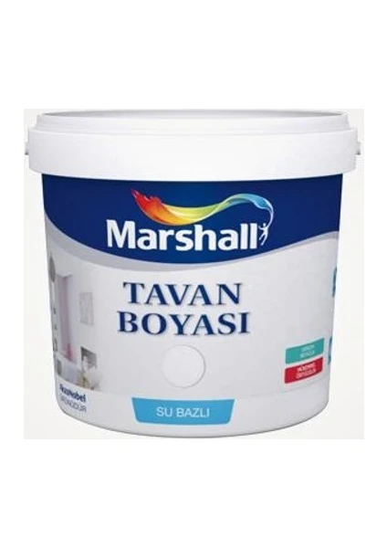 Tavan Boyası