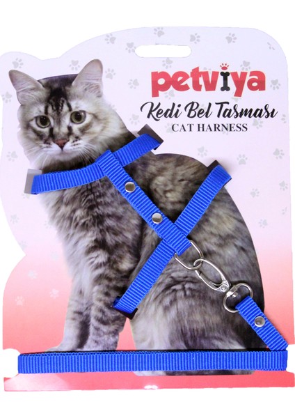 Papyonlu Kedi Boyun Tasması