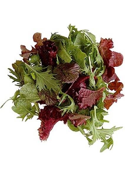 Mutlu Sebzeler Maskolin Mesclun Salatası 150gr'lık 1 paket