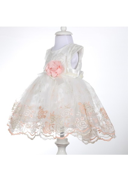 Kız Bebek Simli Gül Detaylı Elbise fiyatları