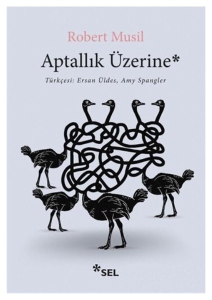 Aptallık Üzerine - Robert Musil