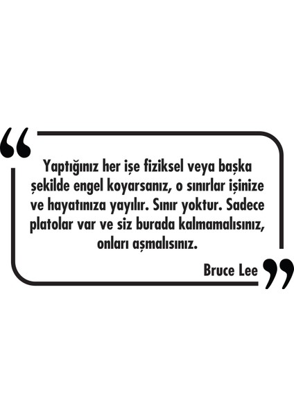Dekoratif Duvar Yazısı Sticker 036