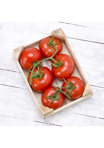 Salkım Domates (1Kg)
