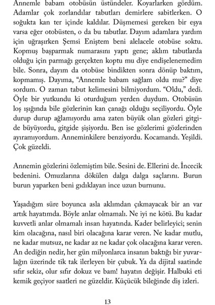 Flamingolar Pembedir - Aslı Perker