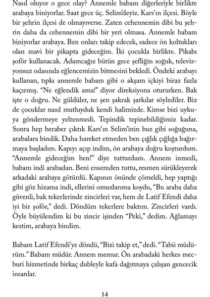 Flamingolar Pembedir - Aslı Perker