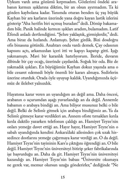 Flamingolar Pembedir - Aslı Perker