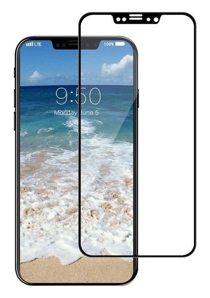 Apple iPhone X Ekranı Full Kapatan 3D Renkli Cam