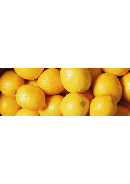 Taze Limon 10 kg