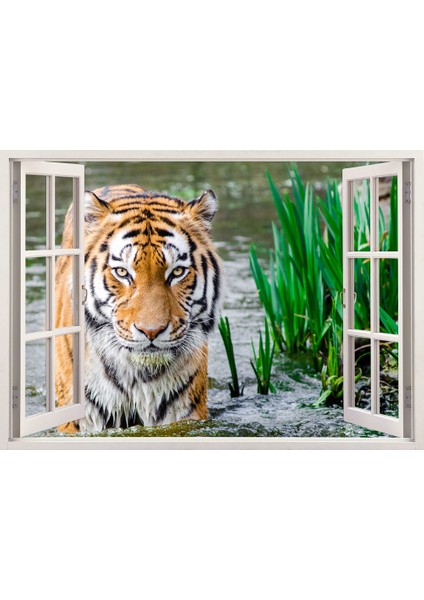 Pencereden Vahşi Yaşam ve Kaplan, Duvar Sticker, 3 Boyutlu Beyaz Pencere Sticker