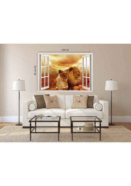 Pencereden Afrika ve Aslanlar, Duvar Sticker, 3 Boyutlu Beyaz Pencere Sticker modelleri