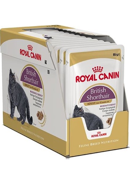 Royal Canin British Shorthair Yetişkin Pouch Kedi Konservesi 12x85 Gr