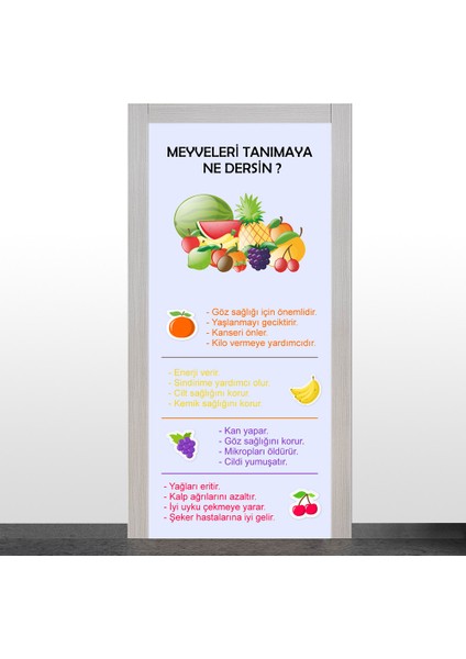 İlkokul-Meyveleri Tanı Kapı Giydirme