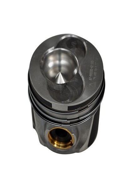 Piston Sekmanlı 79,51 Mm 8772200Std 038107065H