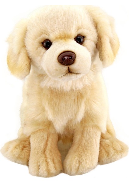 Animals Of The World Floppy Golden Retriever Peluş Oyuncak 28 cm