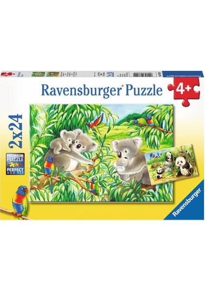 2X24P Puzzle Koalas Pandas   -078202