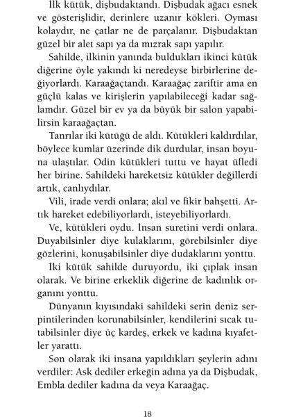 İskandinav Mitolojisi - Neil Gaiman(Ciltli)