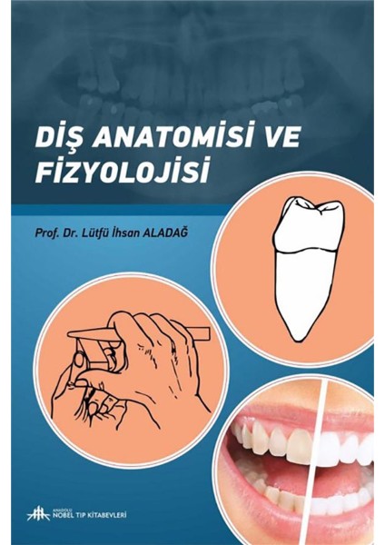 Diş Anatomisi ve Fizyolojisi