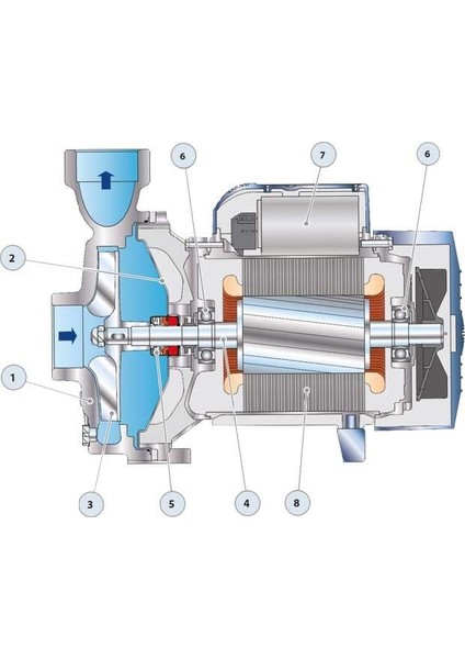 Pro-Ngam 1A Full Paslanmaz Döküm Gövdeli Foseptik Santrafüj Pompa Manofaze (220V) 1 Hp