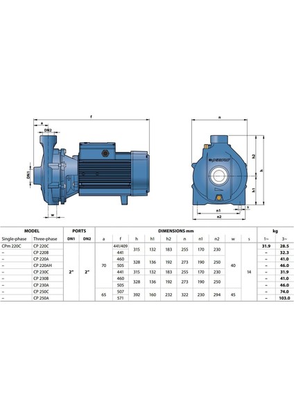 Cp 220C Trf Tek Fanlı Santrifüj Pompa (Trifaze)